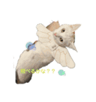 イヤイヤかぶる猫（個別スタンプ：8）