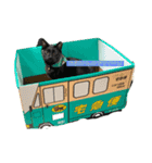 イヤイヤかぶる猫（個別スタンプ：9）