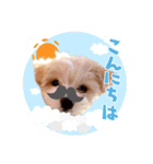 マルプー犬レモンの日常（個別スタンプ：1）