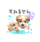 マルプー犬レモンの日常（個別スタンプ：2）