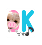 マルプー犬レモンの日常（個別スタンプ：3）