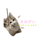 てみーの気持ちスタンプ（個別スタンプ：14）