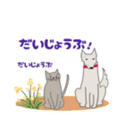 ねこネコわんこの簡単あいさつ（個別スタンプ：10）