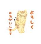 ねこネコわんこの簡単あいさつ（個別スタンプ：28）