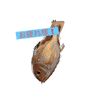 魚三昧（個別スタンプ：1）