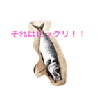 魚三昧（個別スタンプ：3）
