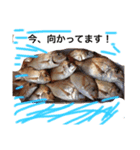 魚三昧（個別スタンプ：4）