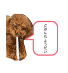 コロン＆チェル（個別スタンプ：1）