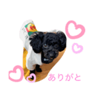 コロン＆チェル（個別スタンプ：8）