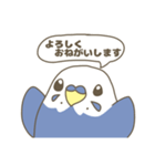 丁寧語のインコ（個別スタンプ：1）