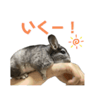 チンチラのおはぎくん4（個別スタンプ：23）