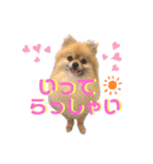 ぼくちゃんすたんぷ！（個別スタンプ：2）