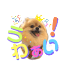 ぼくちゃんすたんぷ！（個別スタンプ：3）