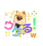 ぼくちゃんすたんぷ！（個別スタンプ：5）