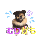 ぼくちゃんすたんぷ！（個別スタンプ：7）