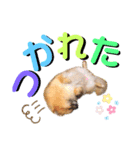 ぼくちゃんすたんぷ！（個別スタンプ：9）