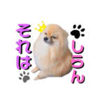 ぼくちゃんすたんぷ！（個別スタンプ：10）