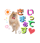 ぼくちゃんすたんぷ！（個別スタンプ：12）