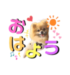 ぼくちゃんすたんぷ！（個別スタンプ：13）