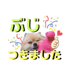 ぼくちゃんすたんぷ！（個別スタンプ：14）
