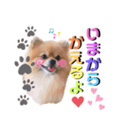 ぼくちゃんすたんぷ！（個別スタンプ：15）