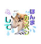 ぼくちゃんすたんぷ！（個別スタンプ：16）