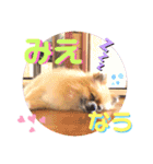 ぼくちゃんすたんぷ！（個別スタンプ：18）