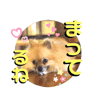 ぼくちゃんすたんぷ！（個別スタンプ：21）
