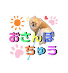 ぼくちゃんすたんぷ！（個別スタンプ：22）