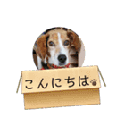 うしおの挨拶スタンプ（個別スタンプ：3）