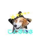 うしおの挨拶スタンプ（個別スタンプ：5）