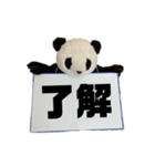 [デカ文字]単刀直入に伝えるパンダ（個別スタンプ：1）