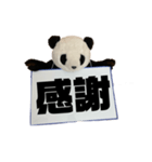 [デカ文字]単刀直入に伝えるパンダ（個別スタンプ：32）
