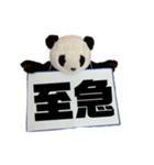 [デカ文字]単刀直入に伝えるパンダ（個別スタンプ：35）