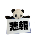 [デカ文字]単刀直入に伝えるパンダ（個別スタンプ：37）