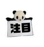 [デカ文字]単刀直入に伝えるパンダ（個別スタンプ：39）