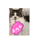 ソップとポッチ（個別スタンプ：3）