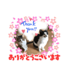 ソップとポッチ（個別スタンプ：10）