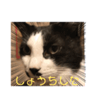 ソップとポッチ（個別スタンプ：12）