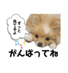 うにくんの顔芸①（個別スタンプ：12）