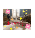 ねこ2匹のすたんぷ（個別スタンプ：27）