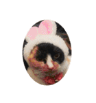 ねこ2匹のすたんぷ（個別スタンプ：31）