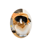 ねこ2匹のすたんぷ（個別スタンプ：32）