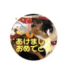 ねこ2匹のすたんぷ（個別スタンプ：33）