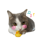 アムのひとこと（個別スタンプ：1）