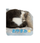 アムのひとこと（個別スタンプ：2）