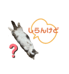 アムのひとこと（個別スタンプ：7）