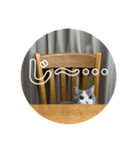 アムのひとこと（個別スタンプ：8）