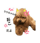 riri'sスタンプ2（個別スタンプ：1）