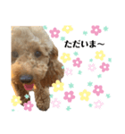 riri'sスタンプ2（個別スタンプ：4）